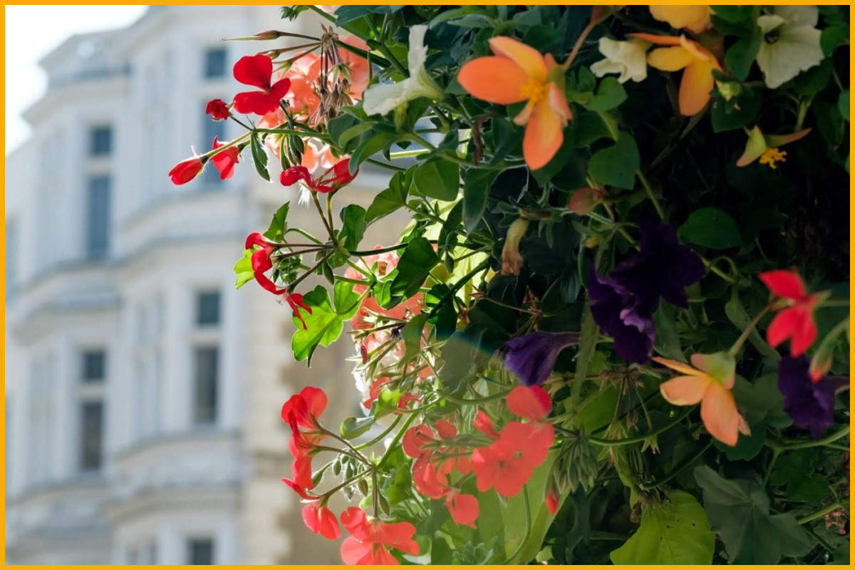 Flowers in front of apartment building